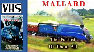 Mallard  The fastest of them all [upl. by Melany593]