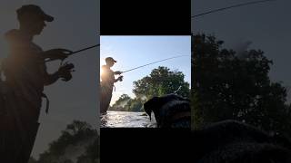 fishing mechaniclife jagdterrier tomos foodlovers doglover trout grill river pecanje [upl. by Mavra]