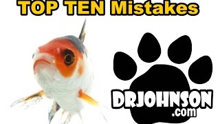 Top Ten Koi amp Pond Fish Keeping Mistakes [upl. by Wileen783]