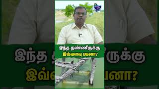 விவசாயிகள் இதை உரமா பயன்படுத்துறாங்க  Elan Cheran  Fish amp Aqua Farming fish prawns aquafarm [upl. by Redvers268]