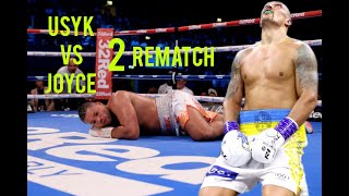 Oleksandr Usyk vs Joe Joyce 2 Rematch Full Fight [upl. by Oikim246]