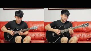 Elvis Presley Cant Help Falling In Love  HONMING guitar cover [upl. by Beora]