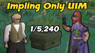 Paying For Our Mistake  Impling Only UIM 28 [upl. by Kincaid]