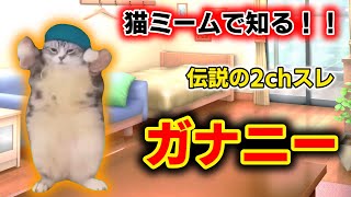 【猫ミーム】猫ミームで知る2ch伝説のスレッドガナニーとは 失神するほど気持ちいいオ〇ニー発見したwwww [upl. by Kathe385]