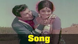 Veettuku Oru Pillai Movie  Nanpotapulli Video Song [upl. by Zetta]