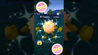 Finally I Got Shundo ✨Shiny Primeape in pokemon go pokemon soparstart shiny shundo [upl. by Bedwell548]