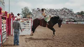 Saddle Bronc Perf 4 Highlights  Salinas Rodeo [upl. by Eremaj37]