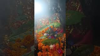 Live darshan of Jai Bhole nath g jai Baba Dhansar jai maa Parvati ॐ नमः शिवाय [upl. by Ellehsyt]