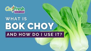 What’s Cooking with CalFresh Healthy Living What is Bok Choy – English [upl. by Aihsot]