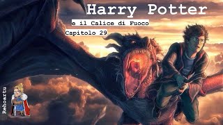 Audiolibro  Harry Potter e il calice di fuoco  Lettura e Commento Cap 29 [upl. by Ellersick]