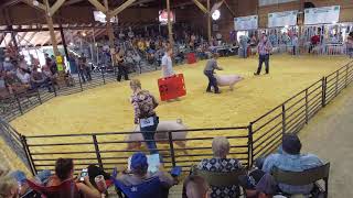 2024 Swine Barrow Show 2  Internet Issues [upl. by Ahola]