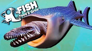 Worlds LARGEST Whale Shark Eats Everything  Huge Fish  Feed and Grow Fish Gameplay  New Update [upl. by Ymmas]