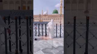 madina love cute madinasharif [upl. by Lonier]