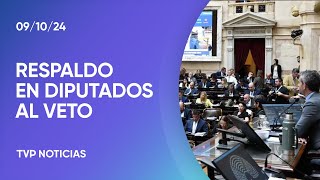 Financiamiento Universitario Diputados ratificó el veto de Milei [upl. by Nnyrat]