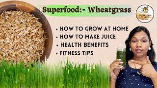 wheatgrasssuperfood fitnessprevents kidney and abdominal diseases miracle medicine of teeth [upl. by Yenreit280]