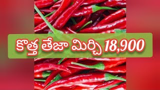 Guntur mirchi market rate today  23102024 [upl. by Cud]