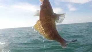 Near shore fishing off Murrels Inlet [upl. by Radcliffe]