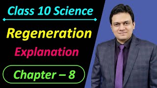 Regeneration Class 10 Science Chapter 8 How do Organisms Reproduce [upl. by Elena]