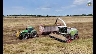 Chopping Triticale in Southwest Missouri [upl. by Meehar]