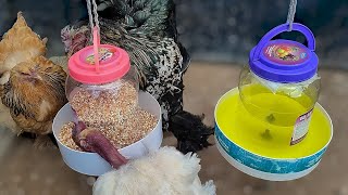 Cómo Hacer Comedero y Bebedero para Gallinas fácil con material reciclado ♻️ [upl. by Queenie]