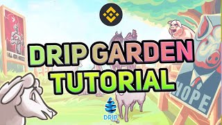 Drip Garden Tutorial Step by Step How to start [upl. by Canter]