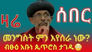 ሰበር መረጃ‼️ያሳዝናል‼️ብፁዕ አቡነ ጴጥሮስን የኢትዮጵያ ኤርፖርት ከለከለ ‼️ መንግስት ውድቀቱን እያፋጠነ ነው። [upl. by Eerdna]