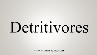 How To Say Detritivores [upl. by Aneed]