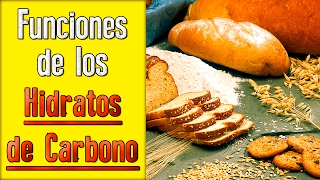 Funciones de los Carbohidratos [upl. by Ahsilla]