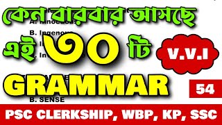 PSC Clerkship  KP  WBP  Most Important English Grammars Class  54 [upl. by Hairakcaz]