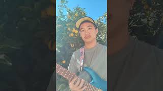 guitar solo over Lynlapidofficial Pick Your Brain ibanez lemon [upl. by Ocram609]