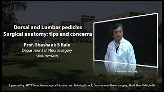 Dorsal and lumber pedicles surgical anatomy  tips and concerns [upl. by Htyderem]