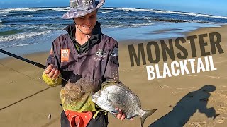 Fishing for Edibles in the Eastern Cape Shad Blacktail Garrick Steenbras and Stumpnose [upl. by Franci]