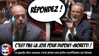 Éric DupontMoretti se fait GUEULER DESSUS par un sénateur et ça le défrise [upl. by Shawnee626]