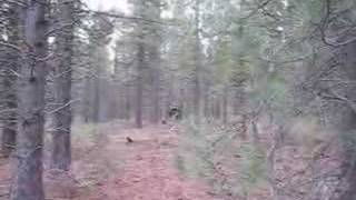 Mountain Biking Phils Trail in Bend Oregon [upl. by Ellednahs]