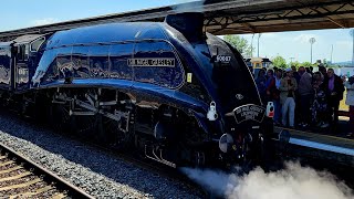 60007 Sir Nigel Gresley  Taunton  3 June 2023  Steam hauled train [upl. by Coltin106]