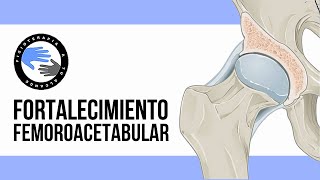 Choque femoroacetabular 8 ejercicios para fortalecer la cadera y aliviar el dolor [upl. by Rosen]