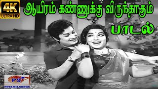 Aayiram Kannukku Female  ஆயிரம் கண்ணுக்கு பெண்  P Susheela Love Melody H D Song [upl. by Procter118]