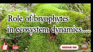 Role of bryophytes in ecosystem dynamic in Hindi [upl. by Eissert]