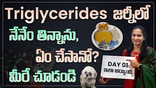 Triglycerides జర్నీలో Day 1 ఇలా అయ్యింది నేనేం తిన్నాను ఏం చేసానో మీరే చూడండి  Arogyadiet [upl. by Aivatal]