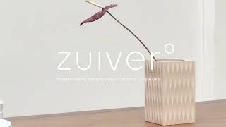 Zuiver drop 3 video [upl. by Baram55]