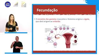 Biologia  Gametogênese e Embriologia [upl. by Luamaj745]