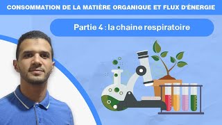 Consommation de la matière organique et flux dénergie  partie 4 La chaine respiratoire [upl. by Artina]