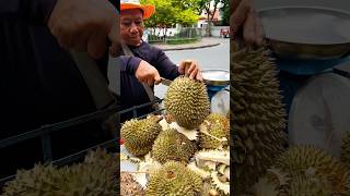 Durian The Worlds Smelliest Fruit But Very Delicious Fruit Cutting [upl. by Lauree34]