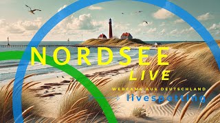 Die besten Webcams an der Nordsee Live entlang der Küste von Borkum bis Sylt [upl. by Audrit470]