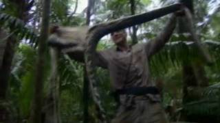 bear grylls  man vs Wild barbecue au serpent [upl. by Kelleher]