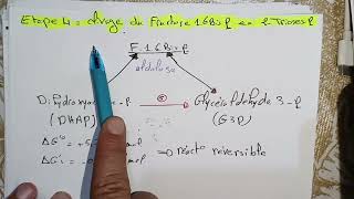 biochimie métabolique svi s4  Glucides 02 résumé détaillé بالعربية [upl. by Egerton]