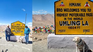 Umling La Pass Challenge Traveling with a Pet in the Worlds Highest Motorable Pass [upl. by Aerdna]