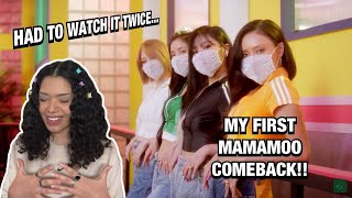 BOYGROUP STAN REACTS TO MAMAMOO DINGGA MV  REACTION [upl. by Katha]