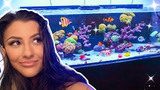 220g Reef Tank Update  Bottled Bacteria Is the Worst [upl. by Reeba]