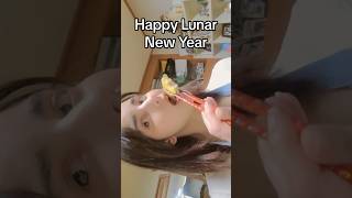 Happy Lunar New Year Seollal설날 in Korea I celebrate the new year by eating Dongtaejeon [upl. by Body424]